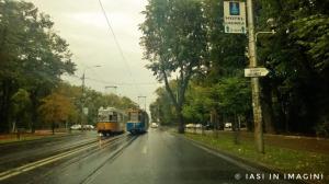 Copou, Iasi (13)