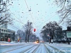 Copou, Iasi (14)