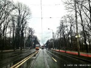 Copou, Iasi (15)