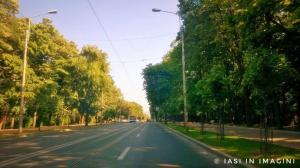 Copou, Iasi (4)