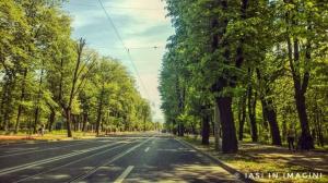 Copou, Iasi (6)