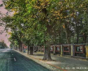 Copou, Iasi (7)