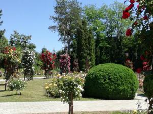 Gradina Botanica, Iasi