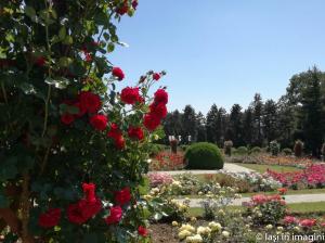 Gradina Botanica, Iasi