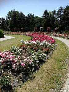 Gradina Botanica, Iasi