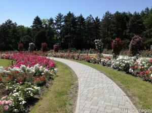 Gradina Botanica, Iasi