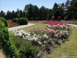 Gradina Botanica, Iasi