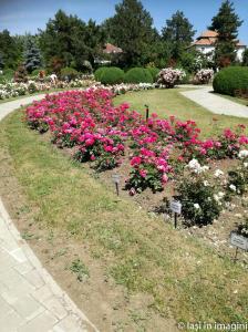 Gradina Botanica, Iasi