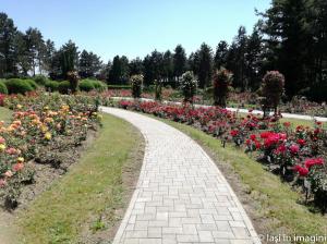 Gradina Botanica, Iasi