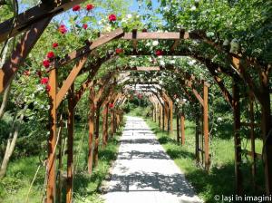 Gradina Botanica, Iasi