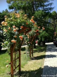 Gradina Botanica, Iasi