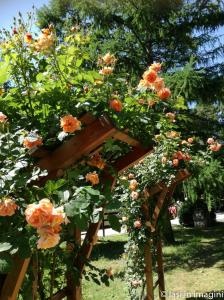 Gradina Botanica, Iasi