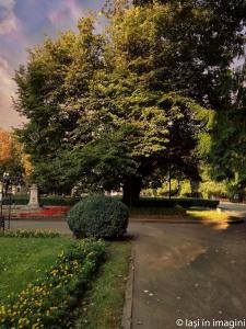 Iasi - Orasul teilor-6