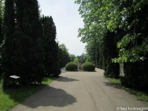 Iasi in imagini_-22