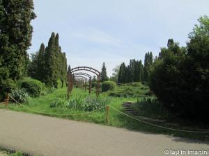 Iasi in imagini_-30