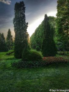 Iasi in imagini_-47