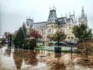 Palatul Culturii, Iasi (13)