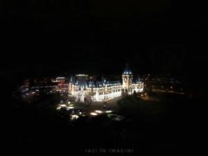 Palatul Culturii, Iasi (16)