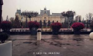 Palatul Culturii, Iasi (31)