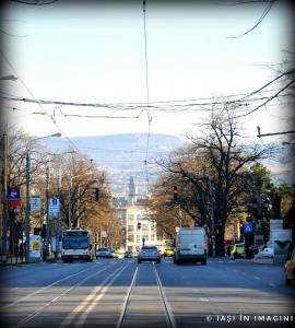 Palatul Culturii, Iasi (48)