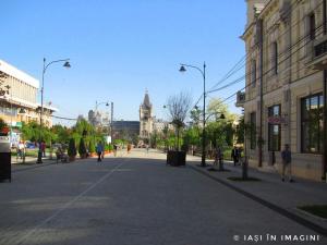 Palatul Culturii, Iasi (54)