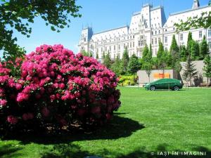 Palatul Culturii, Iasi (62)