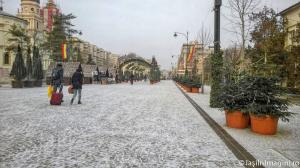Bulevardul Stefan cel Mare si Sfant, Iasi-14