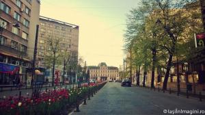 Bulevardul Stefan cel Mare si Sfant, Iasi-16