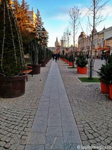 Bulevardul Stefan cel Mare si Sfant, Iasi-6