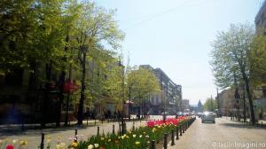 Bulevardul Stefan cel Mare si Sfant, Iasi 2-5